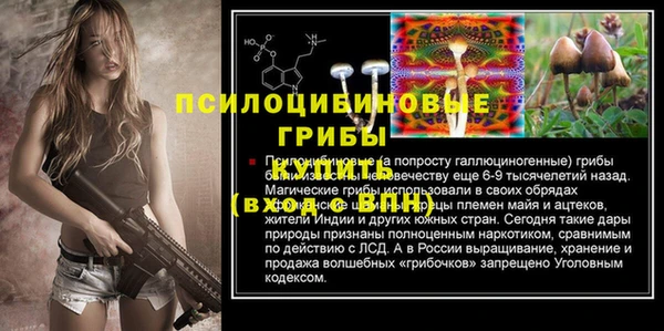 бошки Нязепетровск