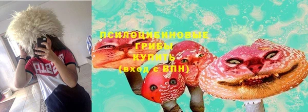 mdma Новозыбков