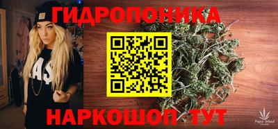 индика Рыбинск