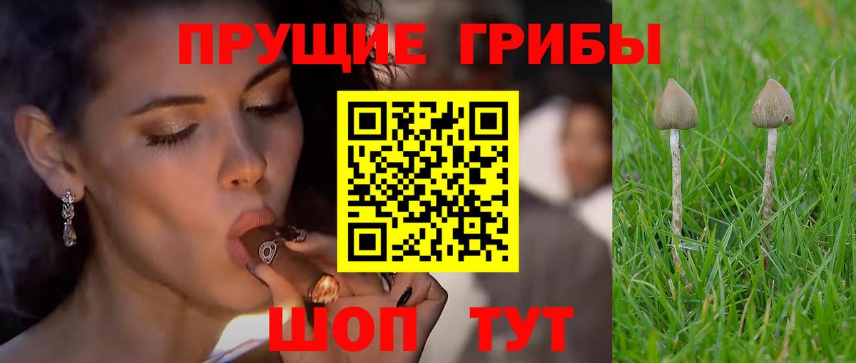 Галлюциногенные грибы MAGIC MUSHROOMS  Вход с VPN  Учалы 